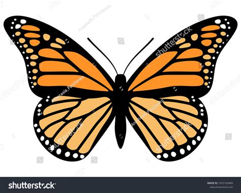 Monarch Butterfly Outline