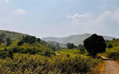 The Wire: The Wire News India, Latest News,News from India, Politics ...