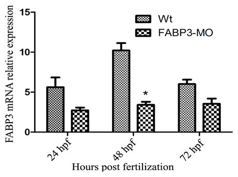 Knockdown of FABP3 Impairs Cardiac Development in Zebraﬁsh through the ...