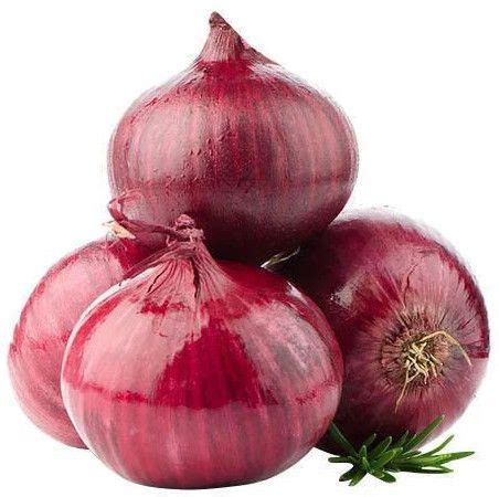 Indian Red Onion Exporter,Indian Red Onion Supplier from Kolhapur India