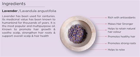 Buy Soulflower Rosemary Lavender Hair Oil For Hair Growth, Hair Fall ...