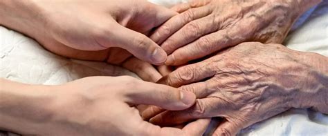 Fisetin: The Anti-Aging Supplement You Need to Try