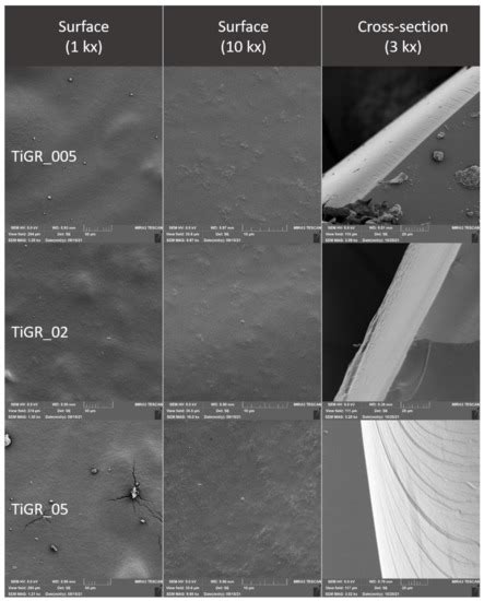 Nanoparticles and Plant By-Products for Edible Coatings Production: A ...