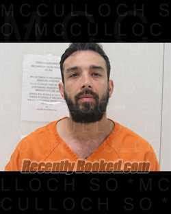 Recent Booking / Mugshot for ANDREW LUIS BOLANOS in McCulloch County, Texas