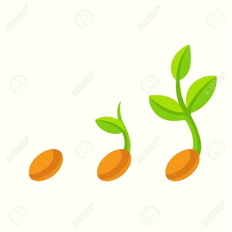 clip art seed 20 free Cliparts | Download images on Clipground 2025