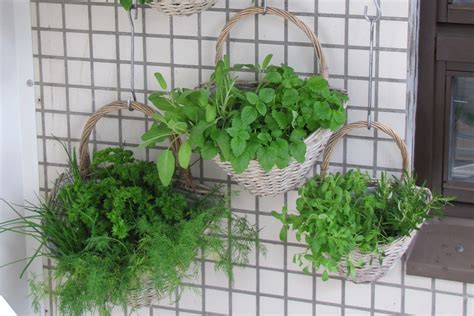 Vertical garden ideas - Thrive