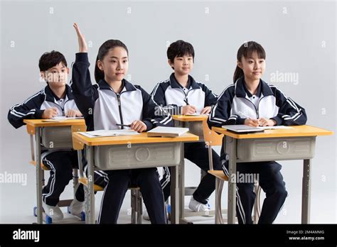 Chinese Class 的图像结果