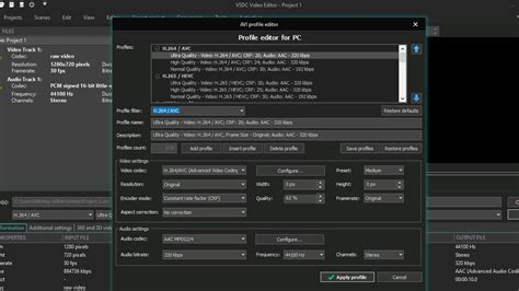 Vsdc Tutorial 的图像结果