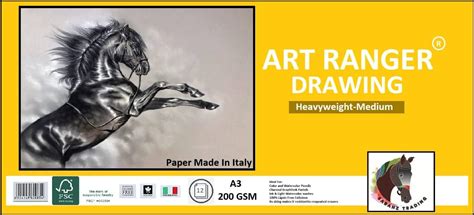 Brustro Drawing Papers 200 GSM A3, Pack of 20 + 4 Free Sheets : Amazon ...