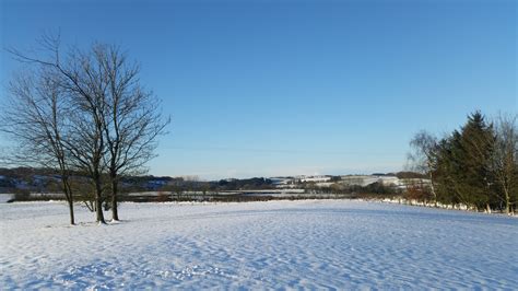 Wintry or wintery - The Nesting Box - Omlet Club