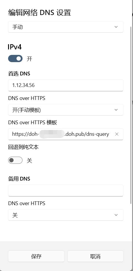 首选DNS服务器填什么