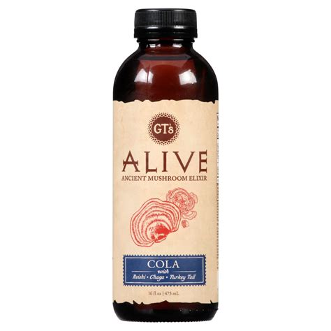 GT's Alive Cola Ancient Mushroom Elixir, 16 fl oz - Fairway