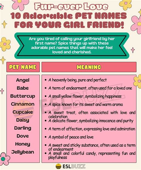 Adorable Pet Names for Girlfriend: Learn How to Show Your Love! - ESLBUZZ