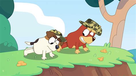 Image result for Bluey Characters Rusty