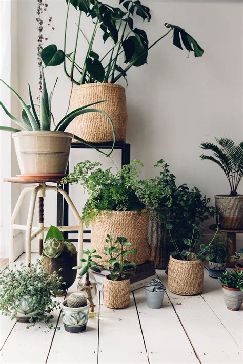 Outstanding Woven Basket Plant Plants That Hang Over Walls