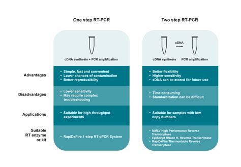 Image result for Reverse Transcriptase PCR Steps