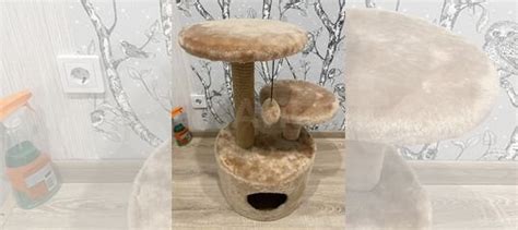 Когтеточка домик для кошки купить в Новосибирске | Животные и зоотовары ...