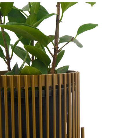 Buy Living room planters Online in India | Palasa Planters