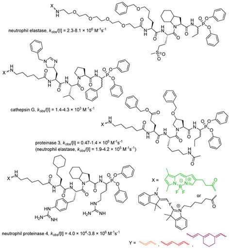 Recent Developments in Peptidyl Diaryl Phoshonates as Inhibitors and ...