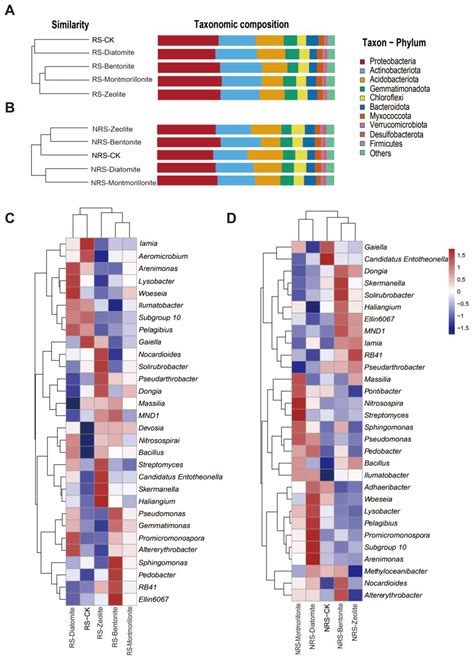 Porous Minerals Improve Wheat Shoot Growth and Grain Yield through ...