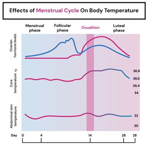 Exploring the Relationship Between Menstrual Cycle and Sleep