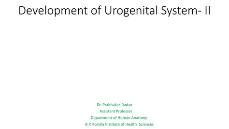 Development of urogenital system II | PPTX