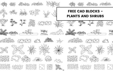 Free CAD Blocks - Plants and Shrubs