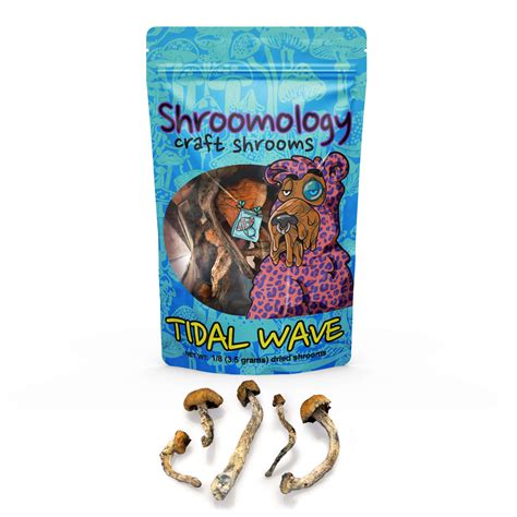 Tidal Wave Dry Shrooms | Tidal Wave Magic Mushrooms