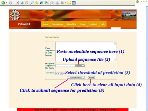 PolyApred: Polyadenylation signal prediction server from human DNA sequence