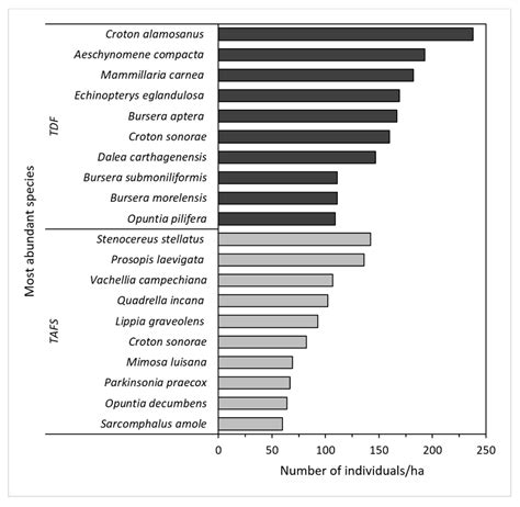 Traditional Agroforestry Systems and Conservation of Native Plant ...