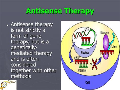 Basic Process of Gene Therapy 的图像结果