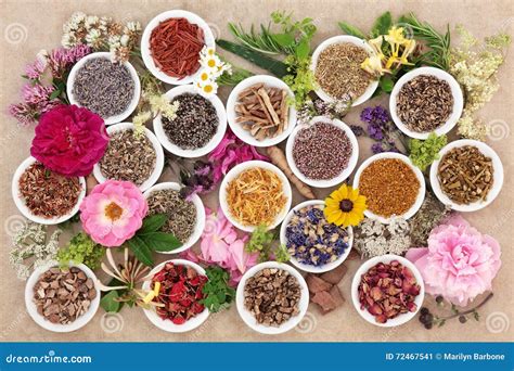 Natural Herbal Medicine 的图像结果