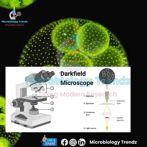 A Dark-Field Microscope:. Bright Object, Dark Background | by Trending ...