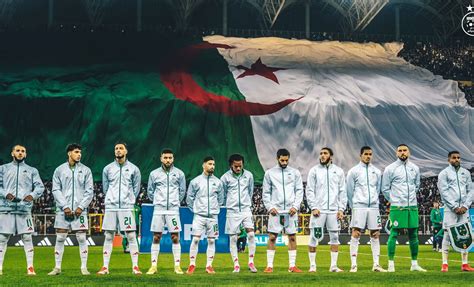 Équipe d'Algérie : la liste probable pour la CAN 2025