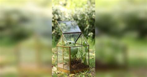 Shop This Gold Terrarium From Nucasa | LBB