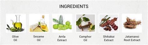 Buy Seer Secrets 100% Natural Amla & Camphor Hair Oil|Anti-Hair Fall ...