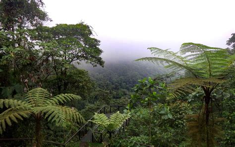 Ecuador Climate Information for Travelers - AdventureSmith