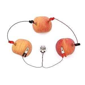 REES52 Fruit Battery-Potato Alarm Clock -1Set DIY Fruit Battery ...