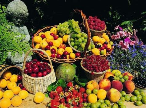全球水果出口最多的六个国家 第一名占全球总量9%__财经头条