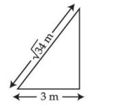 A √34 m long ladder weighing 10 kg leans on a frictionless wall. Its ...