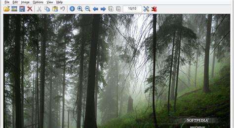 Image result for IrfanView Windows XP