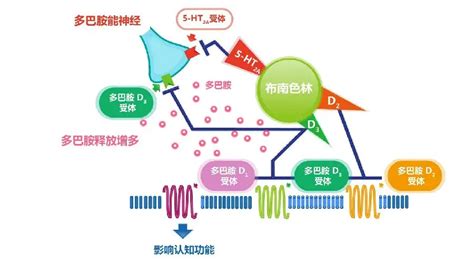 如何增加多巴胺的分泌 - 知乎