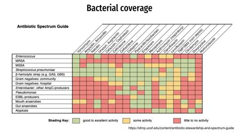 Basic of Antibiotic.pptx , review of antibiotics | PPTX
