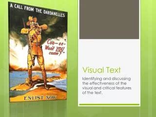 Visual Text Examples 的图像结果