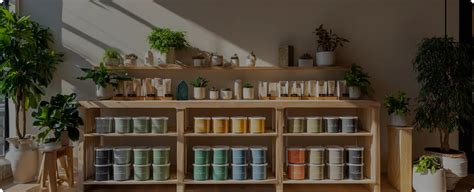 Evolve Paints: Premium Eco-Friendly Paints for Your Home