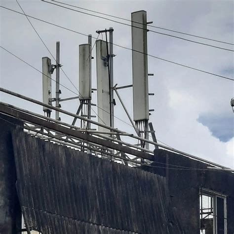 Business/Telecom enterprise cautions towards faux cell tower set up ...