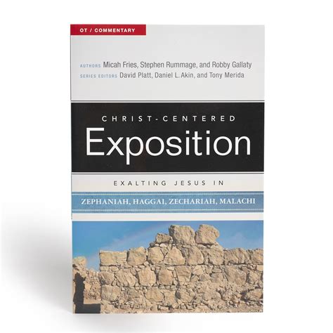 Buy Exalting Jesus in Zephaniah, Haggai, Zechariah, and Malachi (Christ ...