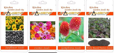 Sunflower, Cosmos, Gomphrena, Tulsi summer flower seeds pack of 20 each ...