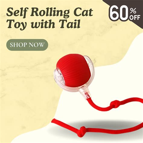 Self Rolling Cat Toy Ball with Tail – Pawmazing Toys