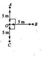 Three stones A, B and C are simultaneously projected from same point ...